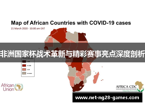非洲国家杯战术革新与精彩赛事亮点深度剖析 非洲国家杯战术革新与精彩赛事亮点深度剖析